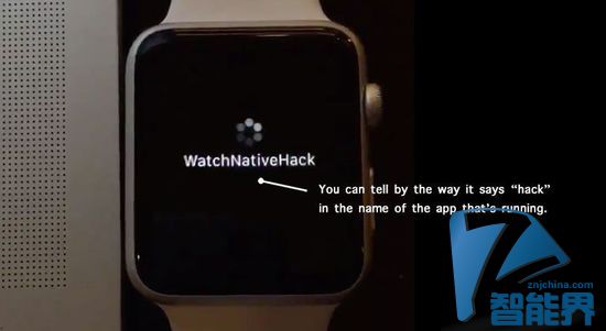 Apple Watch SDK被黑？